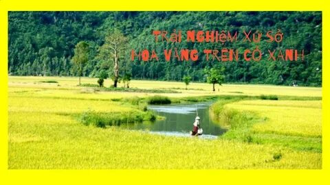 Chuyên gia Hotspot Matrix phân tích: Phương Oanh diện set đồ 50 và marketing video_Video công ty gia công